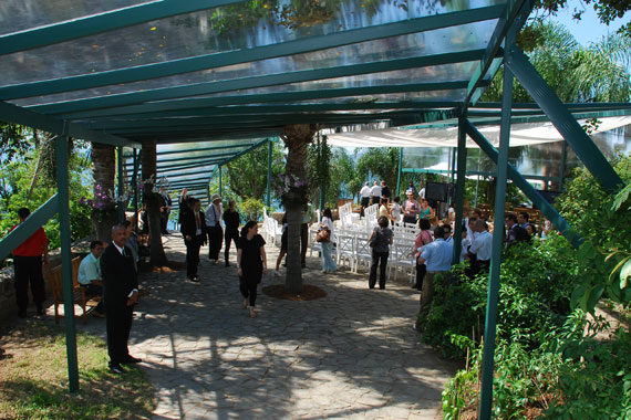 AF2009-7